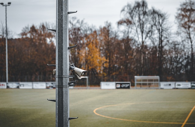 更是一种香 更是一种香