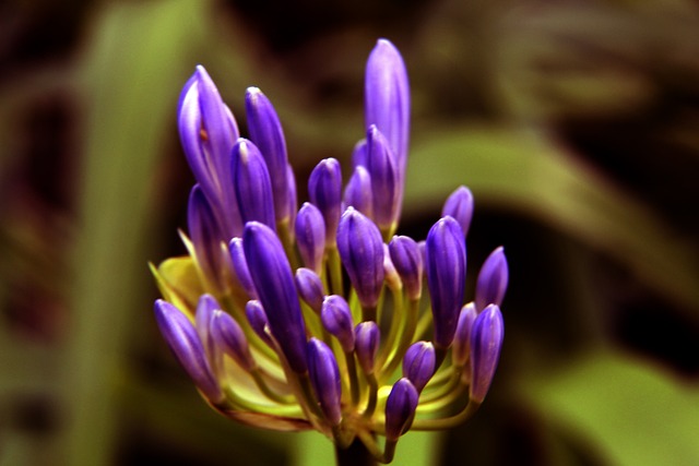 他始终是对 他始终是对