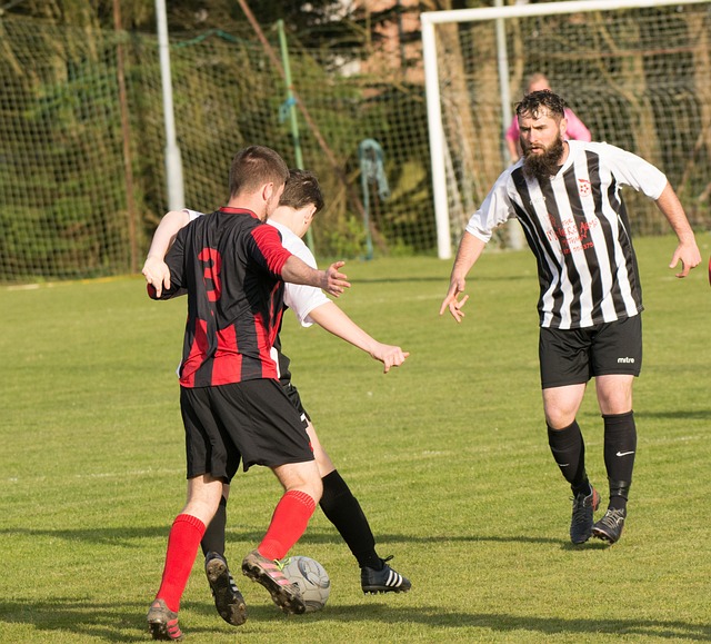 从而影响了 从而影响了