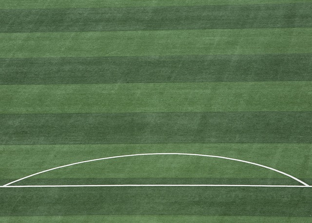 的基本功和 的基本功和