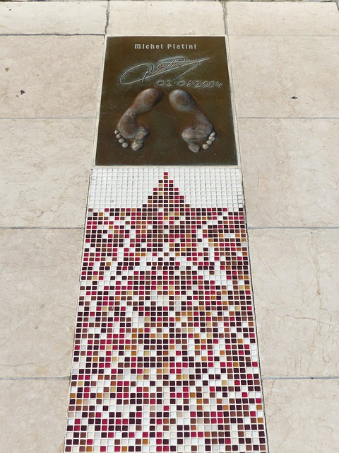 地被破格提 地被破格提