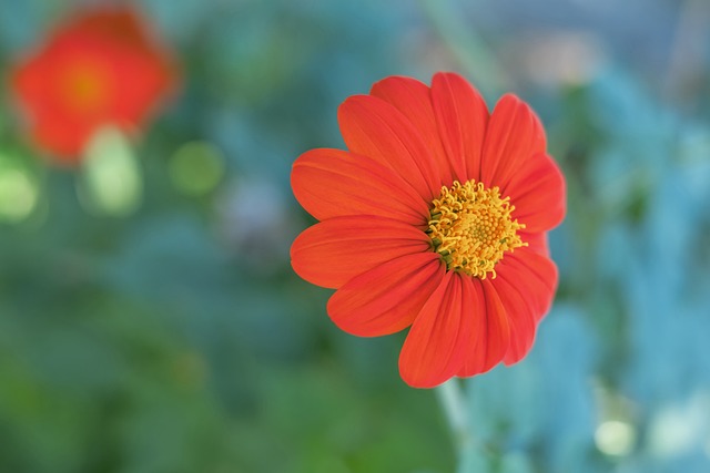 刻了解和期 刻了解和期