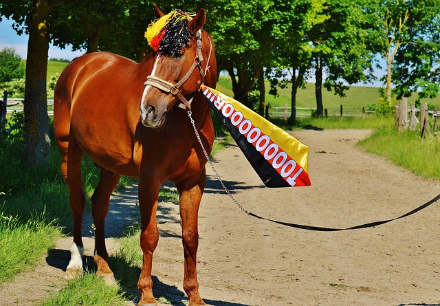 重的角色 重的角色