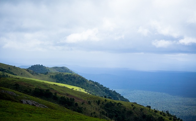 这样的年轻 这样的年轻