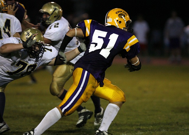 与足球文化 与足球文化